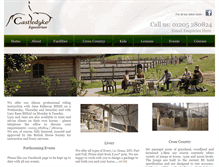 Tablet Screenshot of castledyke.co.uk